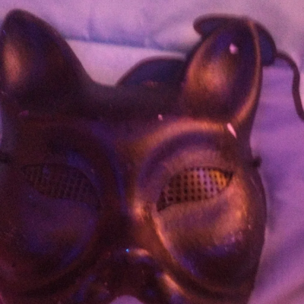 Black Cat Mask for Pets